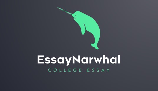 EssayNarwhal: Why a Narwhal?