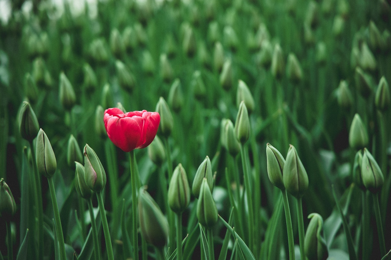 Tips to Show Personality and Stand Out in College Essays