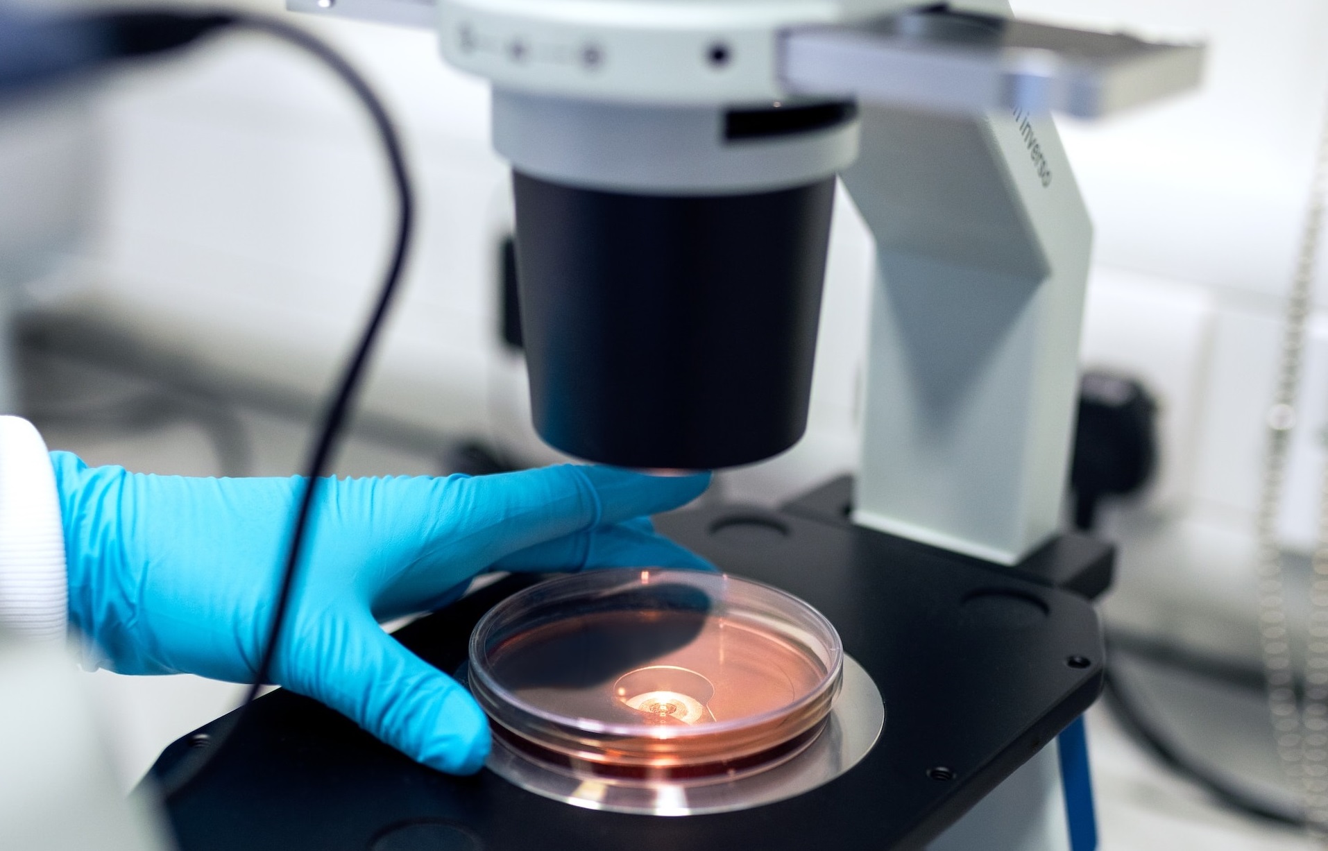 My Experience of UCSF as a Med Student